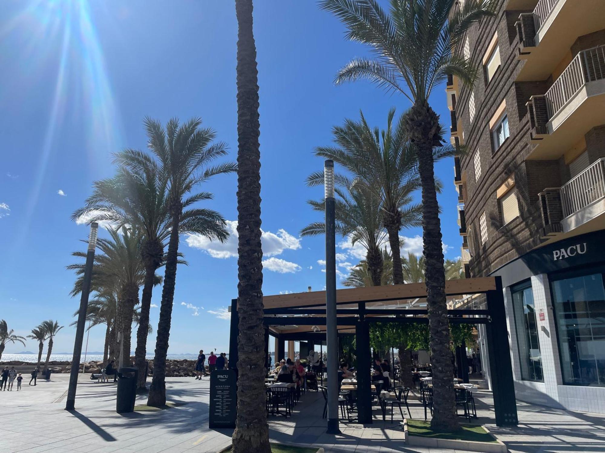 Flamenco Chill Apartment Torrevieja Exteriör bild